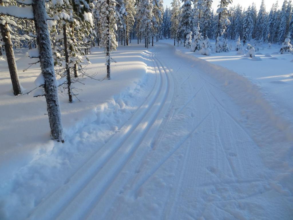 Myllyn Pirtti Cottage Naamijoki Exteriör bild